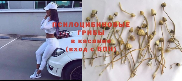 ешки Бронницы