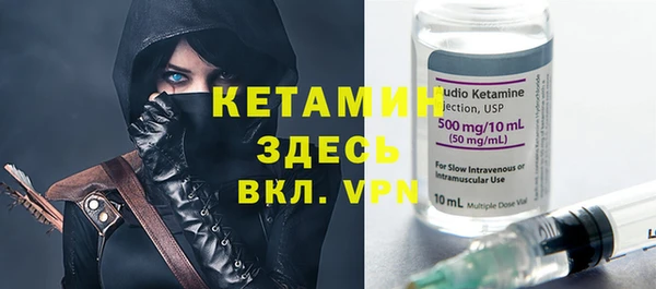 дмт Бородино