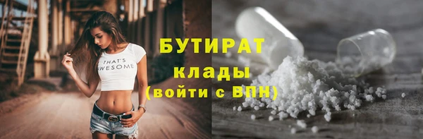 дмт Бородино