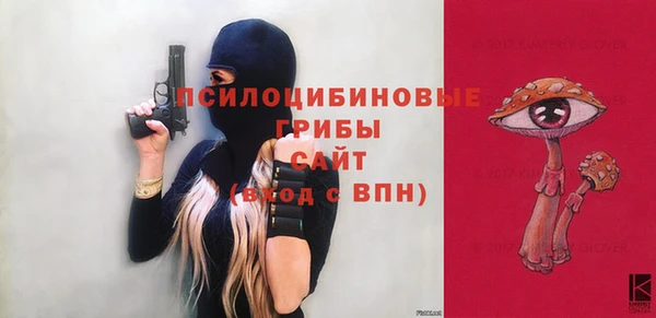 дмт Бородино
