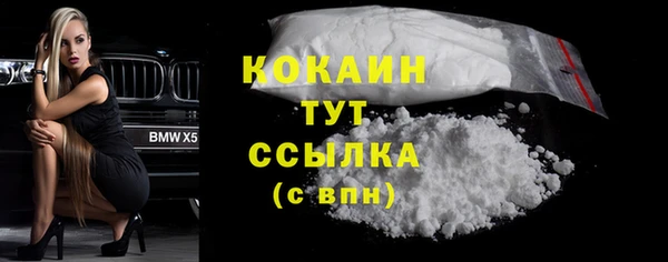 дмт Бородино
