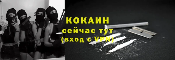 дмт Бородино