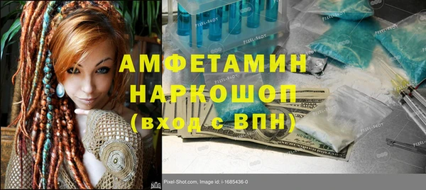 дмт Бородино