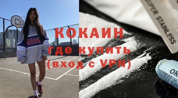 дмт Бородино