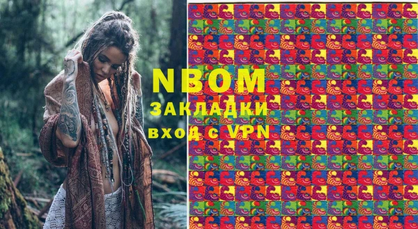 дмт Бородино