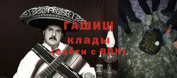 дмт Бородино