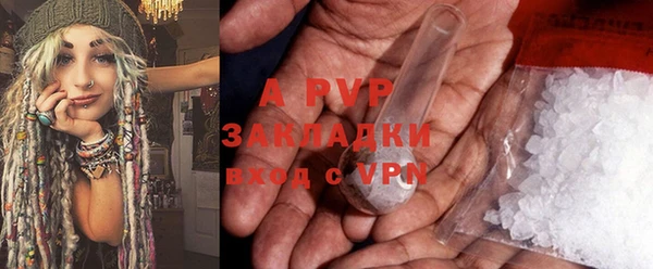 дмт Бородино