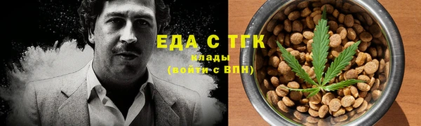 дмт Бородино