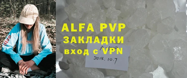 дмт Бородино